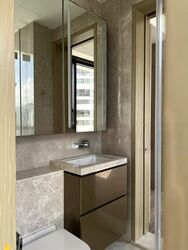 Klimt Cairnhill (D9), Apartment #462821711